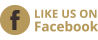 facebook icon