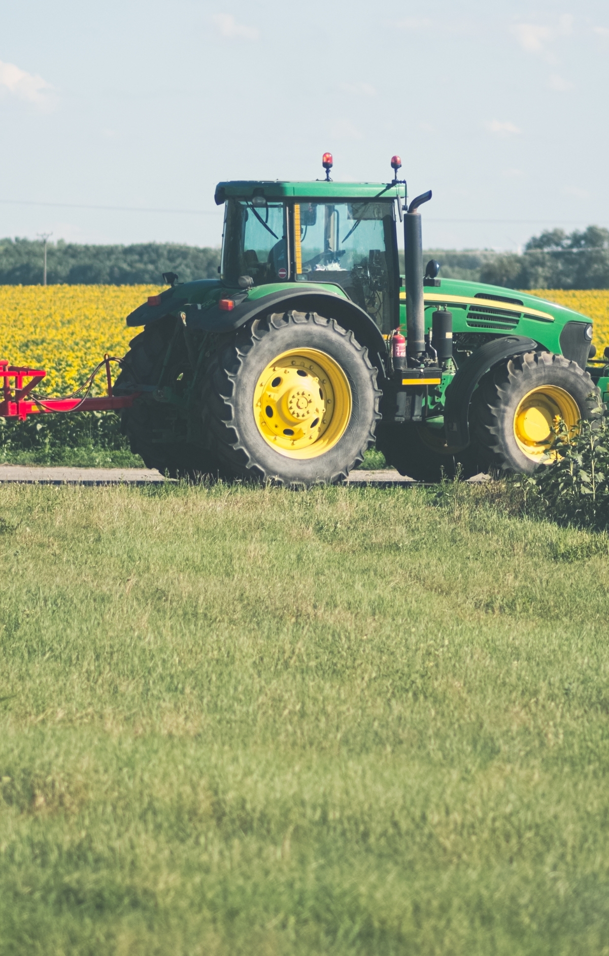 Reliable Sunflower Oil Provider Reliable Sunflower Oil Provider