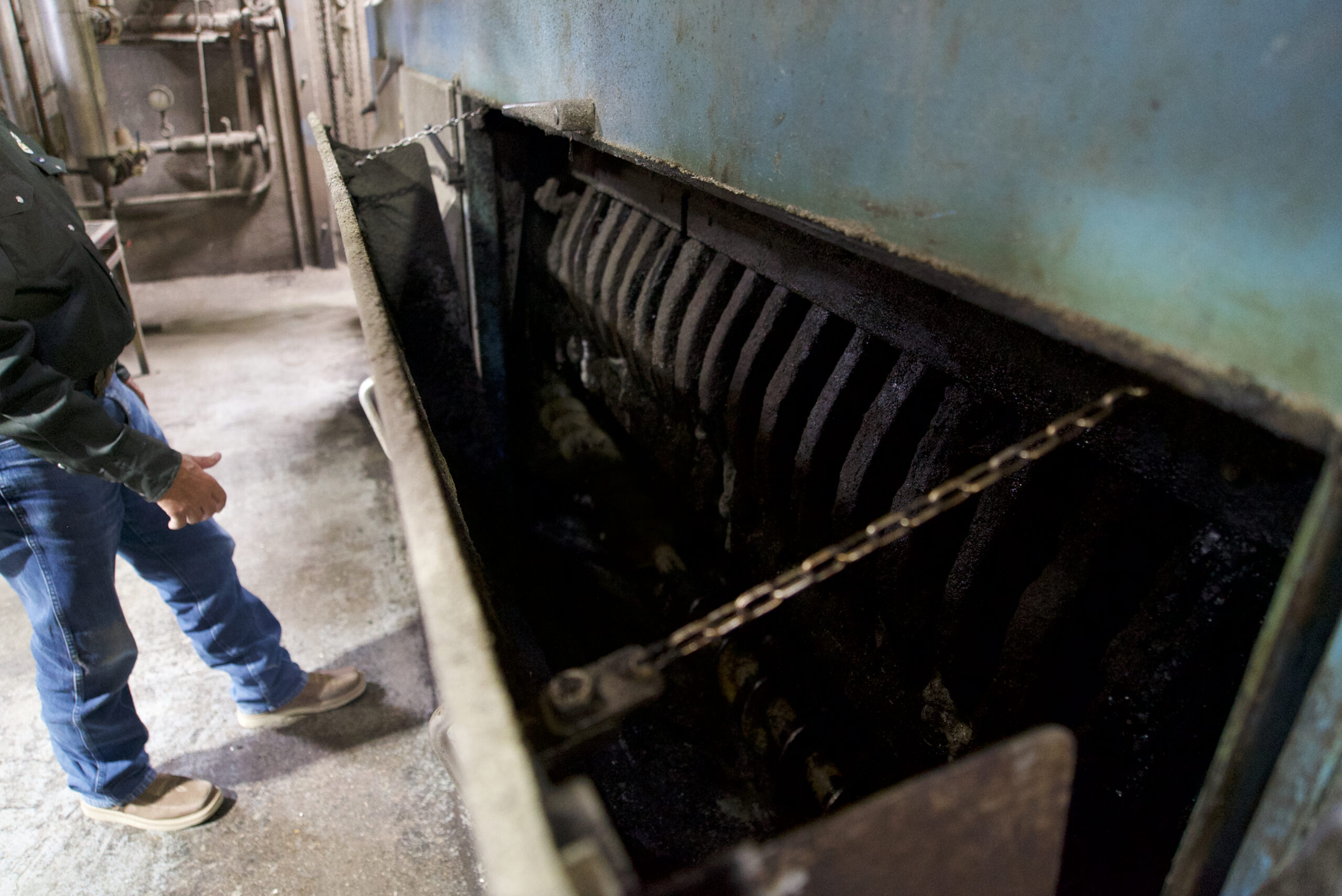 Sunflower Seed Crushing Process Sunflower Seed Crushing Process