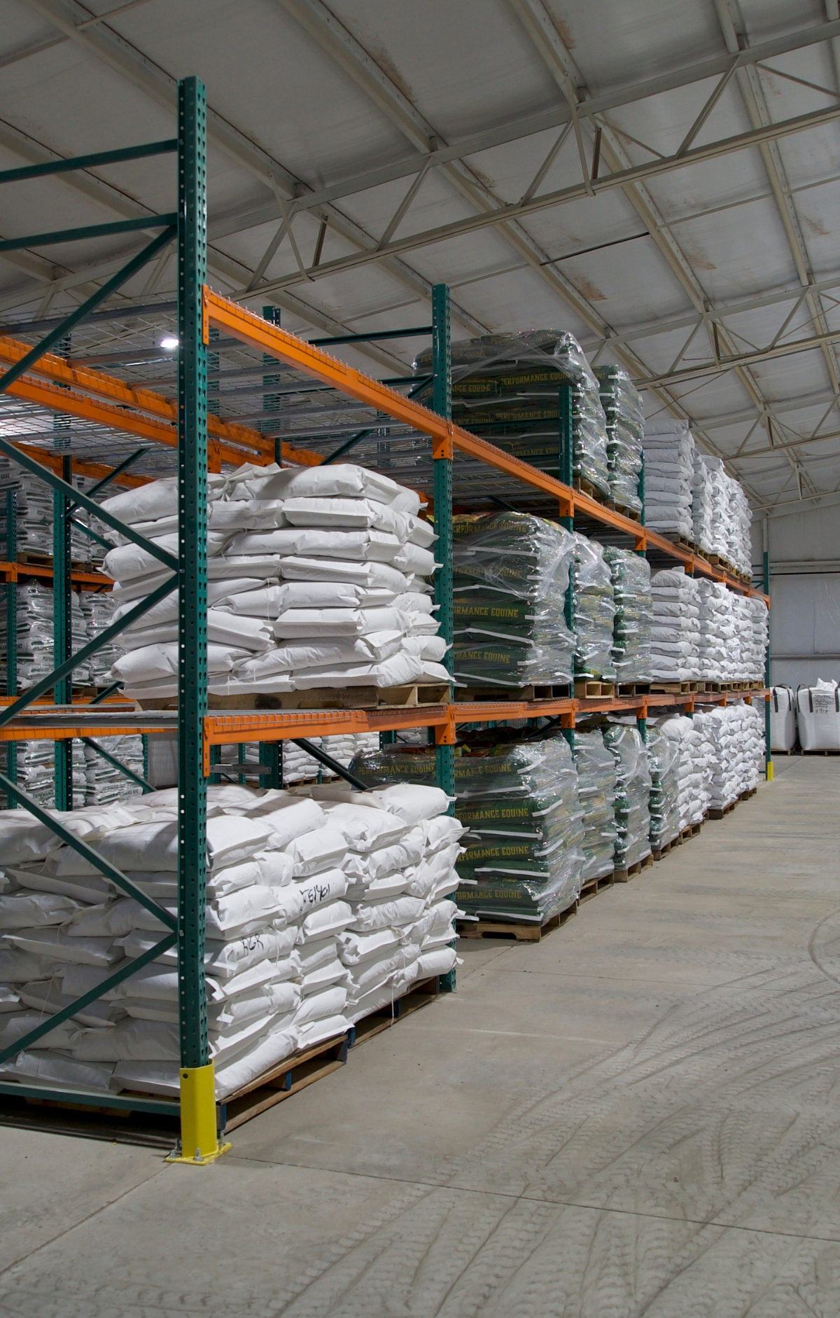 Sunflower Livestock Feed Sunflower Livestock Feed