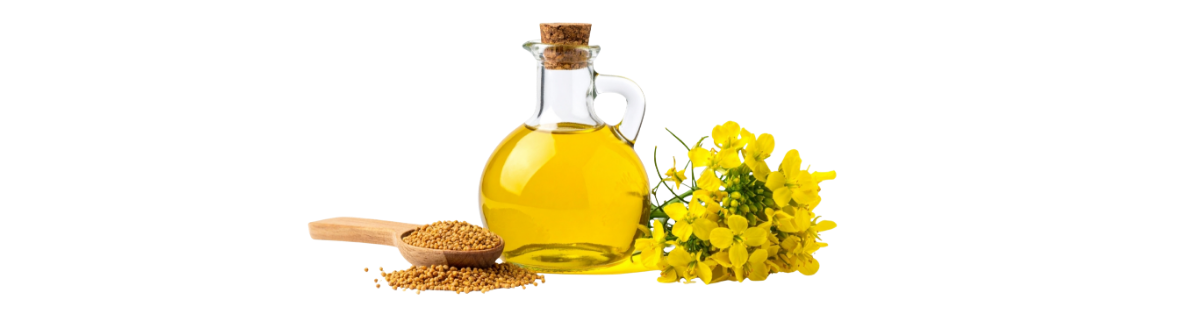 Seed Oils_ What is Vegetable Oil Really